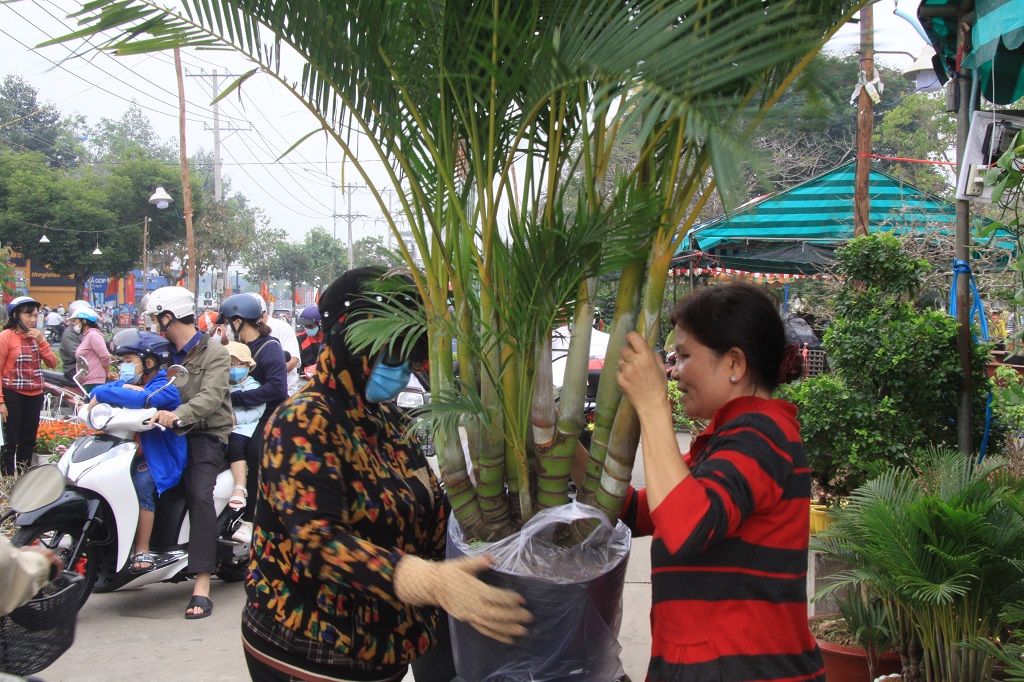 Brilliant New Year Flower Market People drive