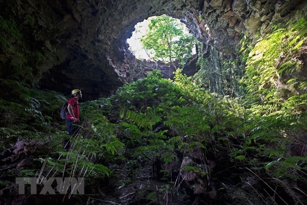 Top 10 outstanding events in Vietnam in 2020 outstanding events