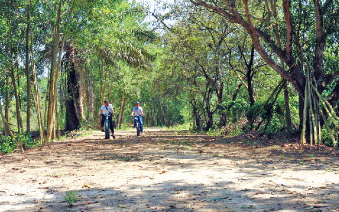 This spring, let's explore Long An on excursion The Reserve belonging to Dong Thap Muoi Reserve Study and Drug Development JSC