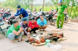Triệt phá tụ điểm đá gà tại Tân Thạnh