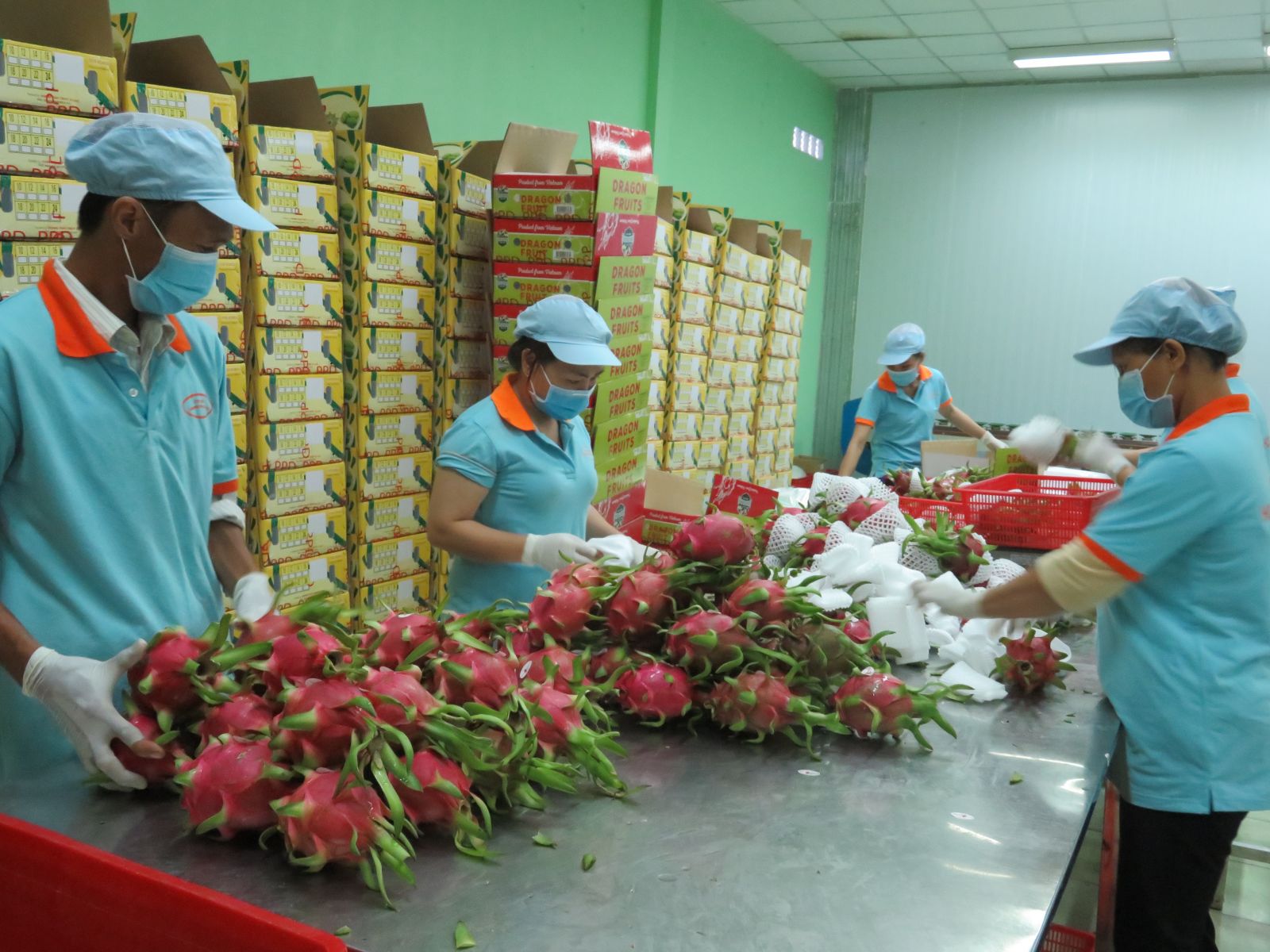Doanh nghiệp xây dựng lộ trình cho EVFTA