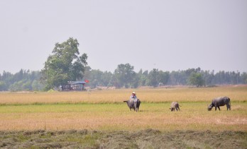 Đức Huệ: Kiểm soát chặt chẽ đường mòn, lối mở, ngăn chặn dịch Covid-19 ngay từ biên giới