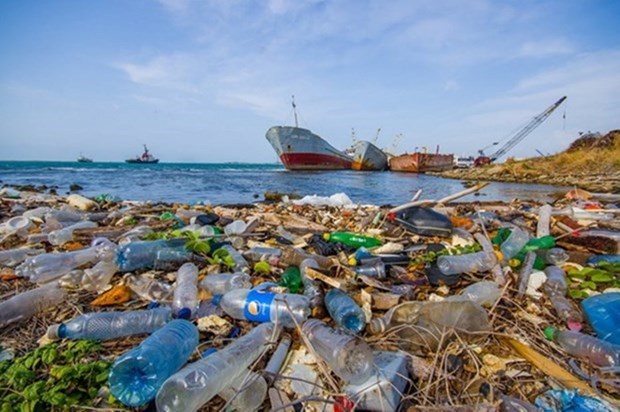 Webinar discusses dealing with microplastic pollution Illustrative image (Photo: VNA)