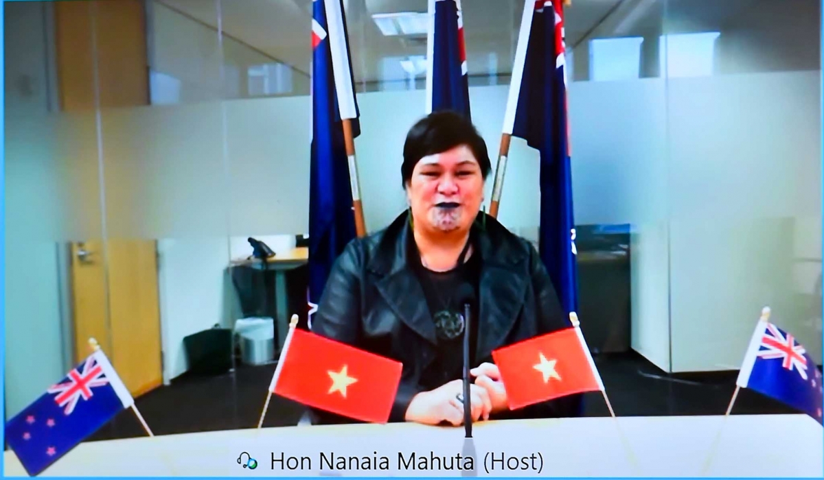 Phó Thủ tướng Phạm Bình Minh hội đàm trực tuyến với Bộ trưởng Ngoại giao New Zealand