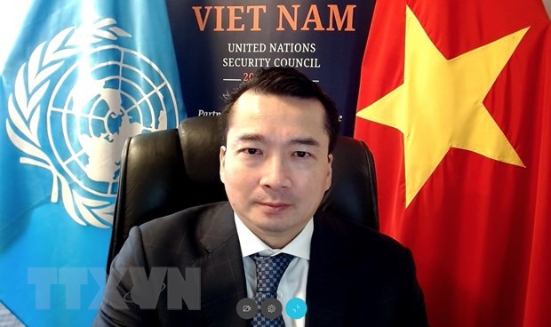 Ambassador Pham Hai Anh, deputy head of the Vietnamese delegation to the UN (Photo: VNA)