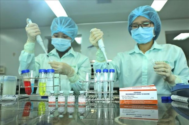 Research programmes, int’l cooperation bolstered to tackle pandemic Employees at the Company for Vaccine and Biological Production No 1 (VABIOTECH) examine proteins in COVID-19 vaccine (Photo: VNA)