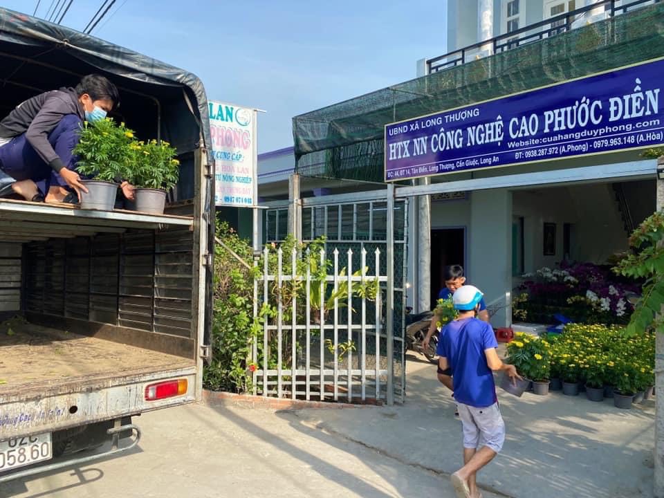 Tỷ Phú Hoa Lan Mô Hình Đặc Biệt Của Thanh Niên Dám Nghĩ Dám Làm YouTube #38 Tỷ Phú Hoa Lan Mô Hình Đặc Biệt Của Thanh Niên Dám Nghĩ Dám Làm YouTube