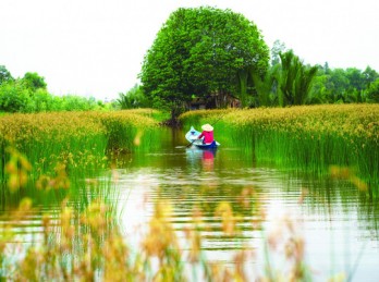 Hạnh phúc nhiều khi không tròn trịa Hạnh phúc nhiều khi không tròn trịa