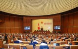 Tuần làm việc cuối cùng Kỳ họp thứ 11: Hoàn thành công tác nhân sự