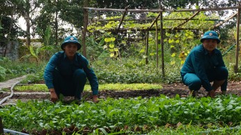 Ban Chỉ huy Quân sự xã Mỹ Lạc: Điểm sáng điển hình phong trào thi đua yêu nước