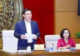 'Khối lượng công việc của Ban Công tác đại biểu là rất lớn'