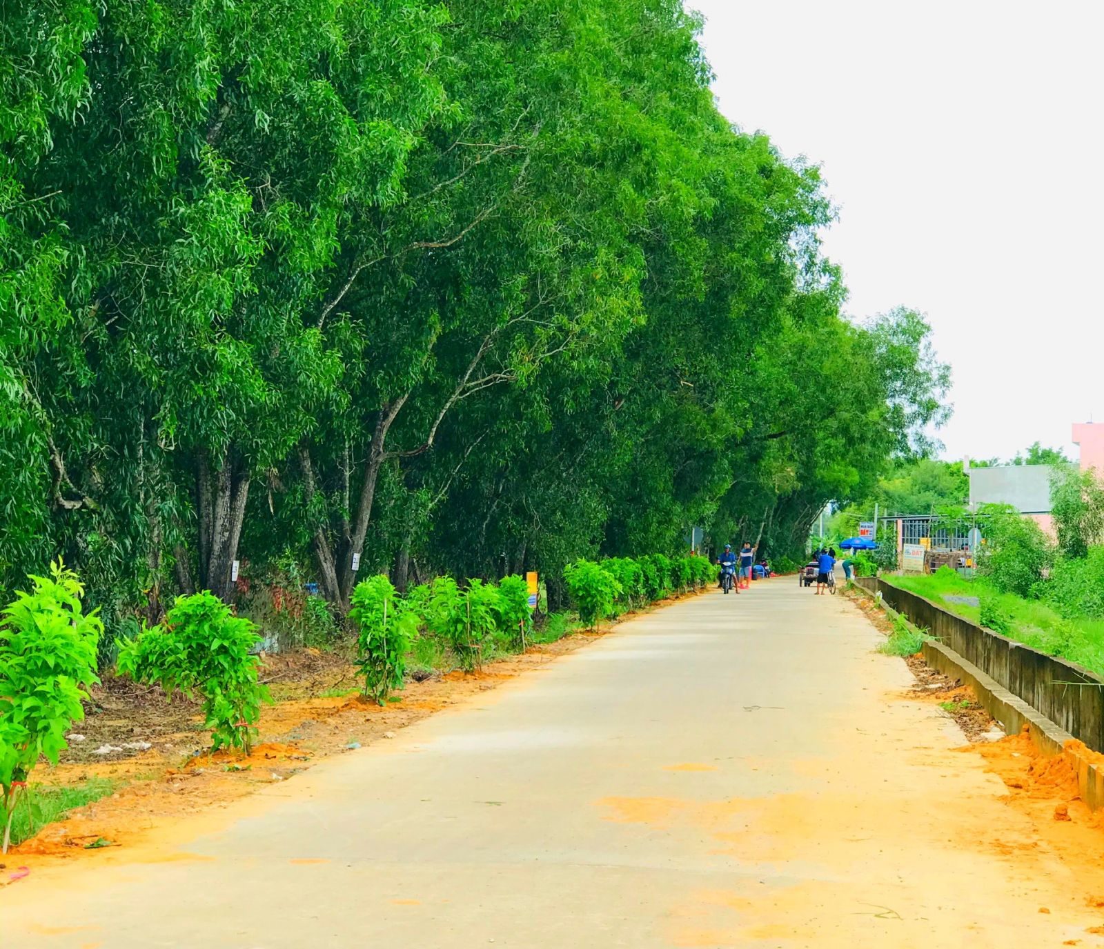 Đức Hòa: Tập trung xây dựng huyện nông thôn mới