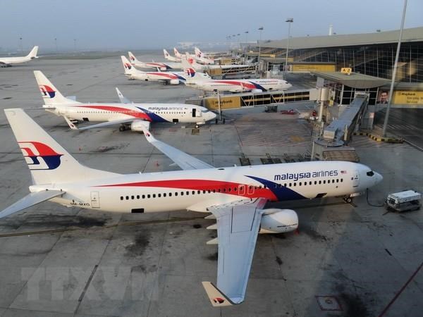 Malaysia pilots IATA Travel Pass Aircraft of Malaysia Airlines at a Malaysian airport (Photo: AFP/VNA)