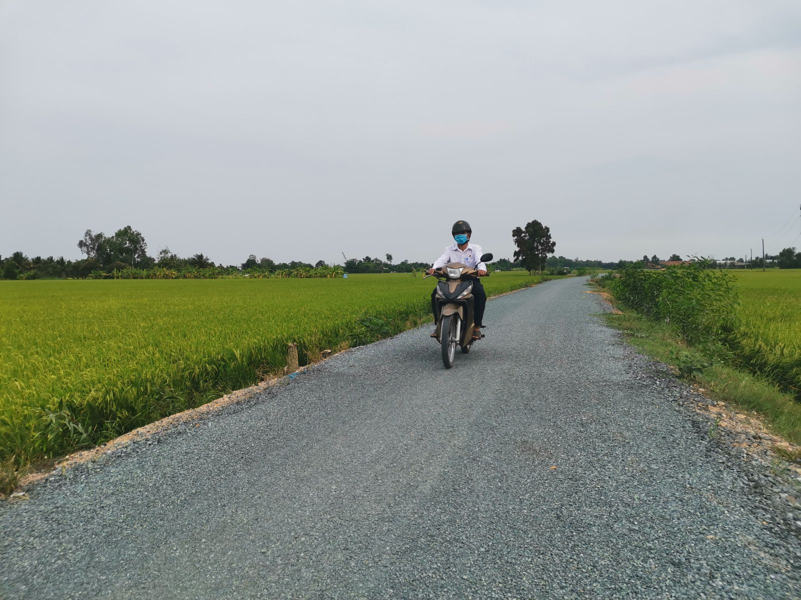 Mobilizing people's sources in socio-economic development Rural roads in Binh An commune have been expanded and upgraded with the motto that the State and people work together