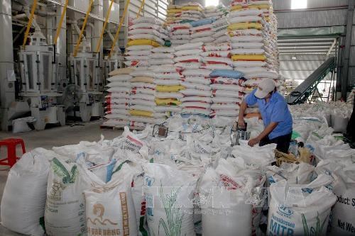 Local garment industry looking towards sustainable development Illustrative photo. (Source: VNA)