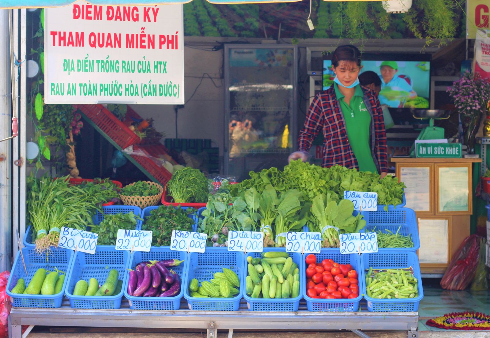 Rau an toàn vẫn khó khăn về đầu ra