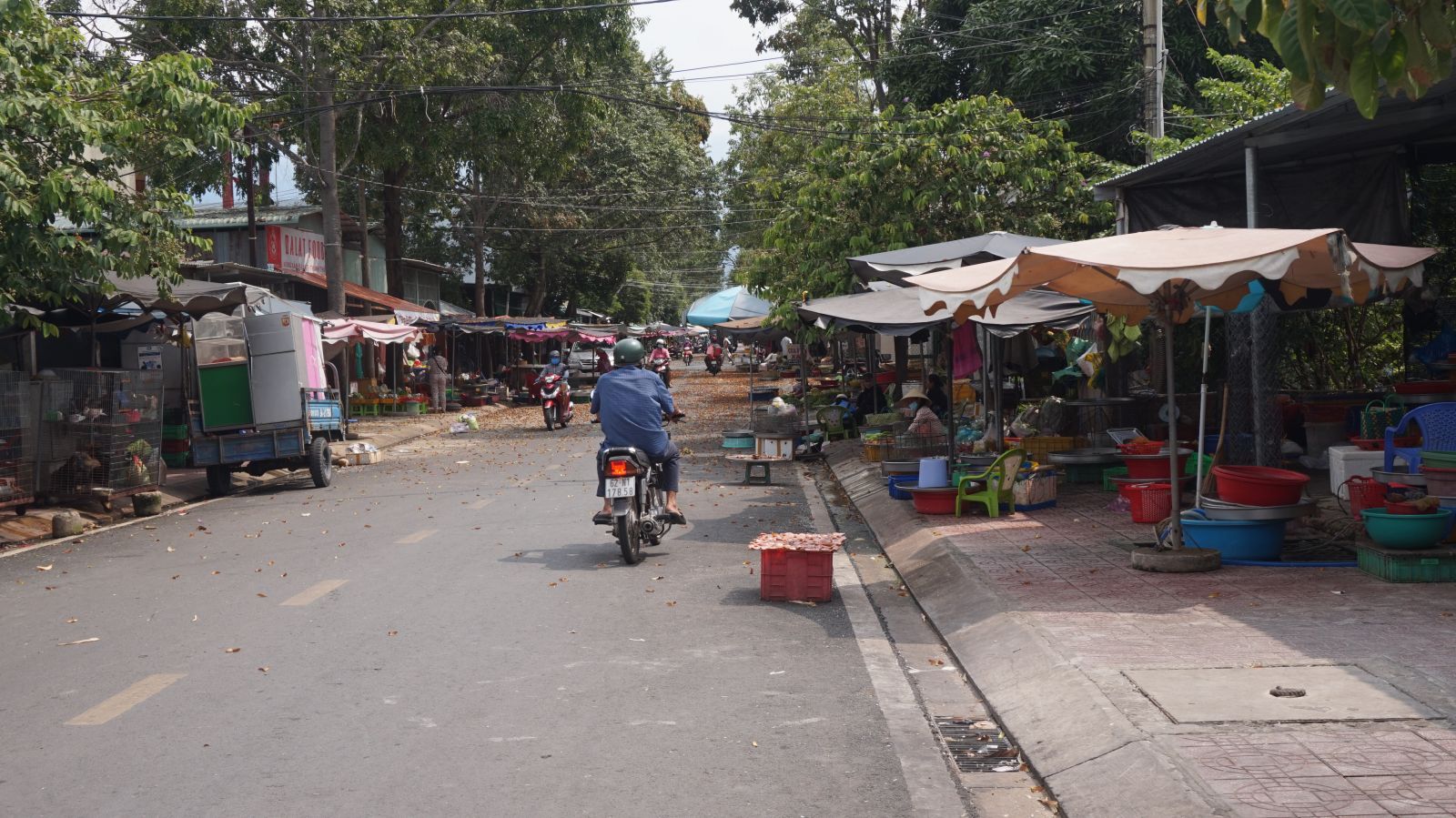 Các hộ buôn bán trên đường Lê Văn Tao