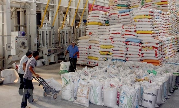 Vietnamese agricultural products favoured in China Vegetables, coffee, rice, cassava and products made of cassava, and seafood always make a lion share of Vietnamese shipments to China. (Photo: VNA)