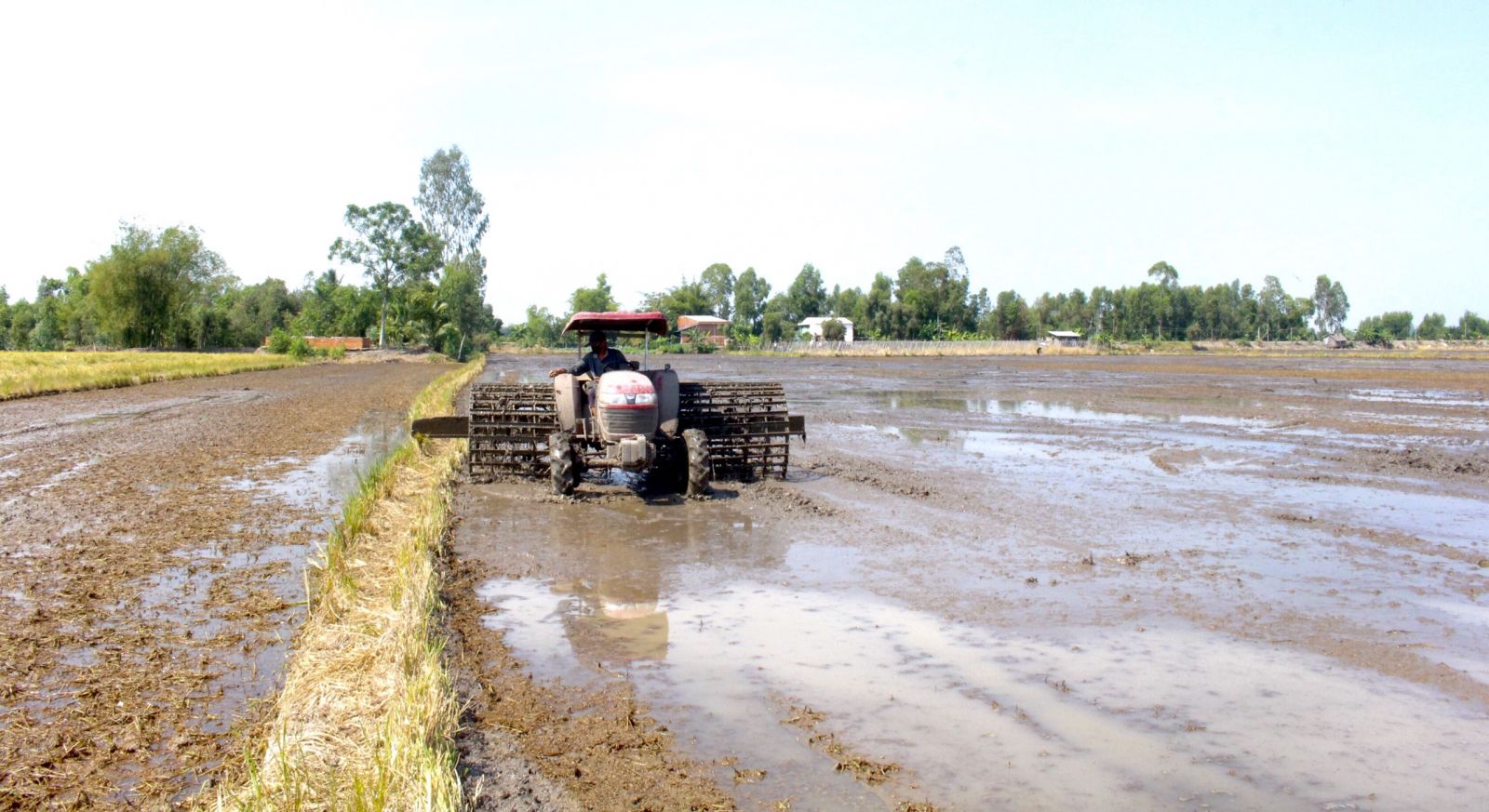 Phát huy vai trò lãnh đạo của chi bộ ấp