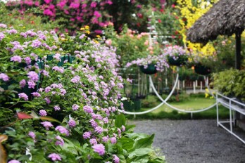 Vợ tôi là "thứ đàn bà không nên nết"