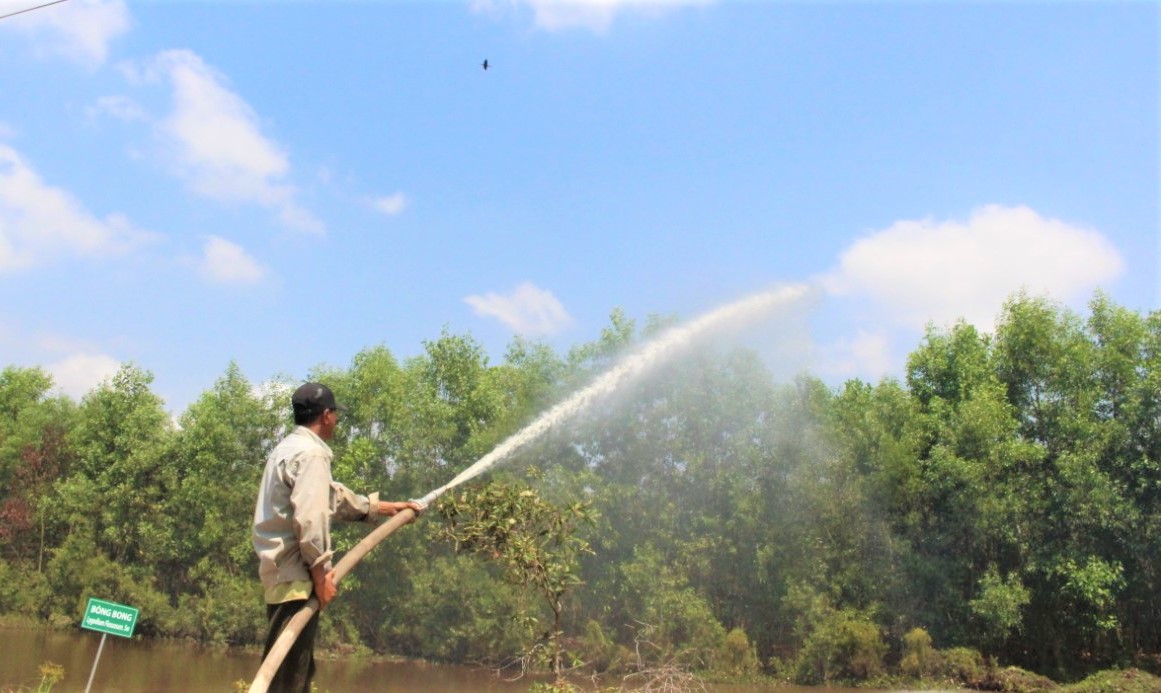 Chủ động phòng, chống cháy rừng