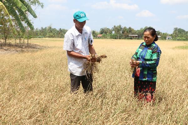 Chủ động ứng phó, giảm thiểu thiệt hại do thiên tai