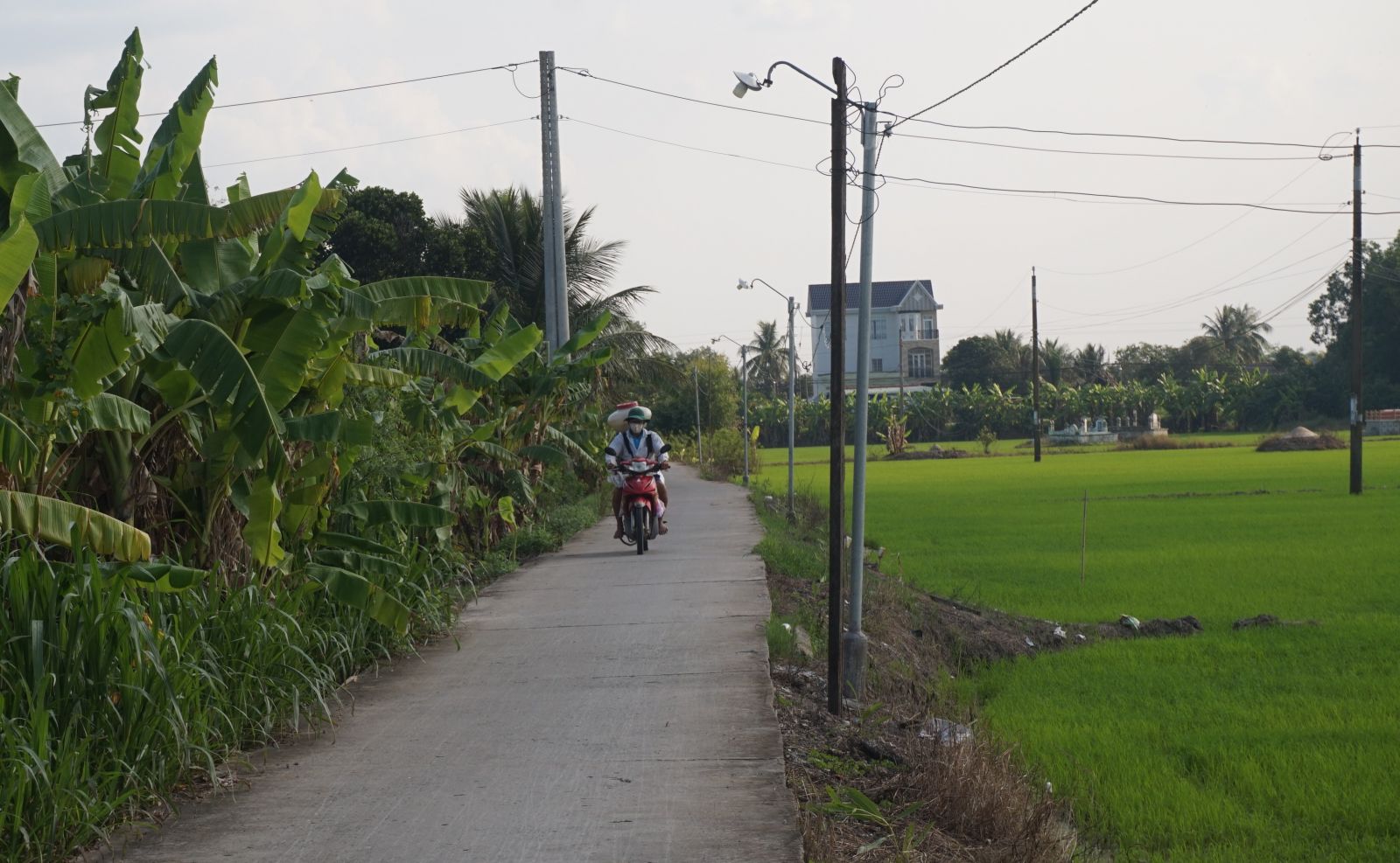 Một đoạn đường giao thông nông thôn ấp 3, xã Mỹ Thạnh