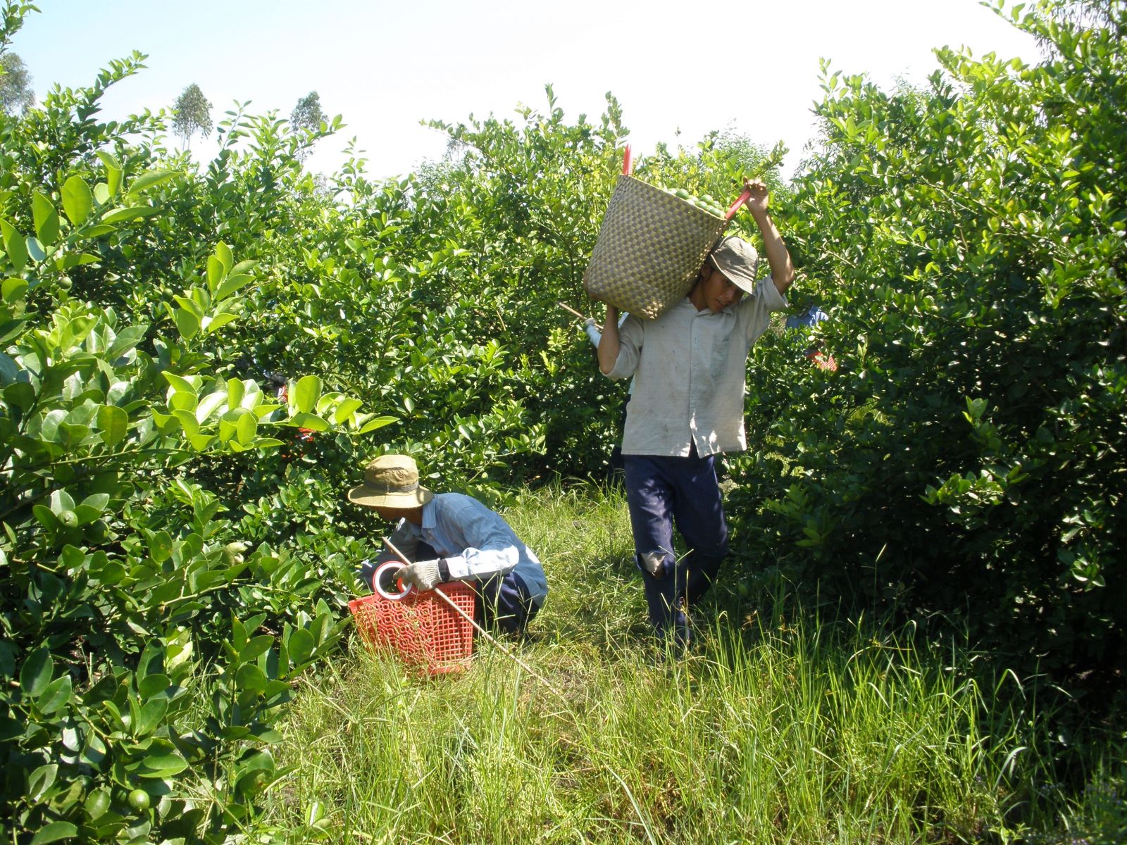 Chuyển đổi để thích ứng và phát triển