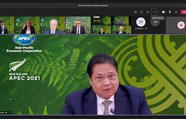 COVID-19 provides momentum for Indonesia’ structural reform: Minister Coordinating Minister for Economic Affairs Airlangga Hartarto attends the APEC Ministerial Meeting on Structural Reform (Photo: beritasatu.com)