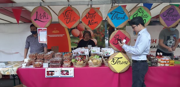 Thanh Binh Jeune brings to the festival Vietnamese fresh lychees. (Photo: VNA)