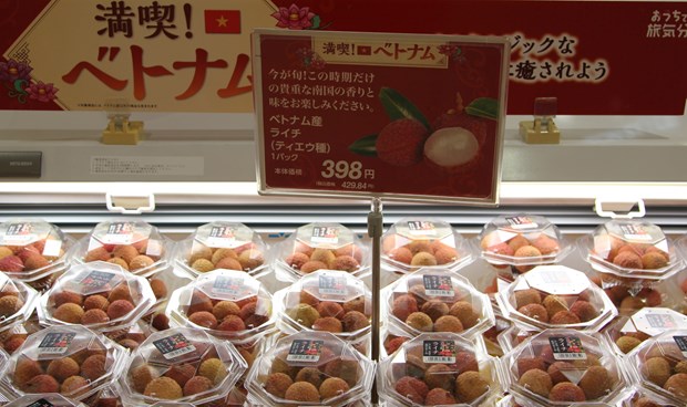 AEON event promotes Vietnamese products in Japan Vietnamese lychee has won preference in Japan. (Photo: VNA)
