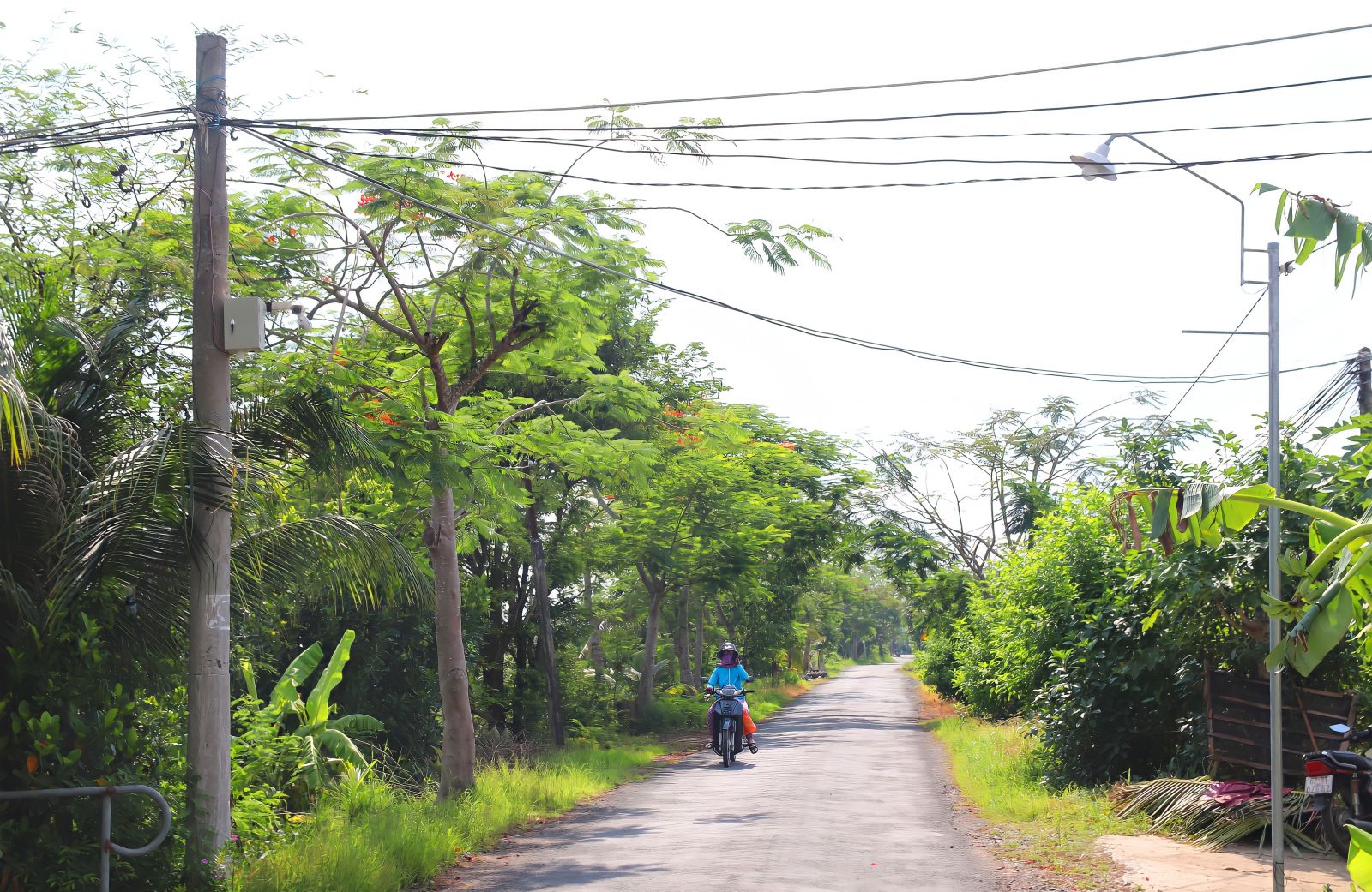 Nhiều tuyến đường trên địa bàn xã đã lắp đặt hệ thống camera an ninh và đèn chiếu sáng