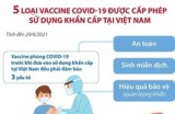 5 loại vaccine COVID-19 được cấp phép sử dụng khẩn cấp