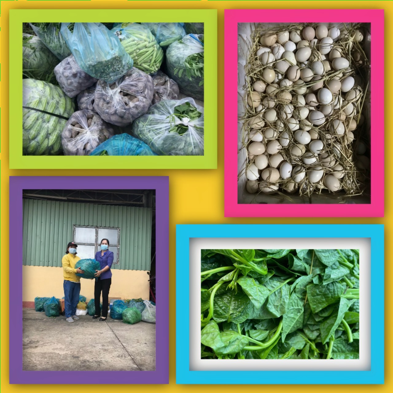 Món quà từ phụ nữ Long An