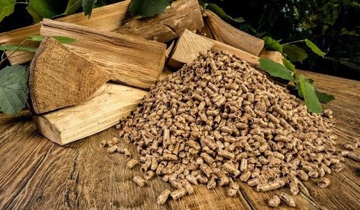 Vietnam now world’s second largest fuel pellet exporter Illustrative photo. (Source: Internet)