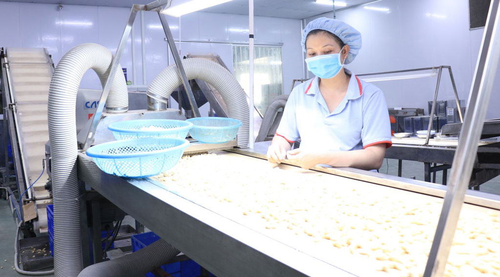 Total domestic revenue reaches 8,445 billion VND in the province in the first 6 months of 2021 