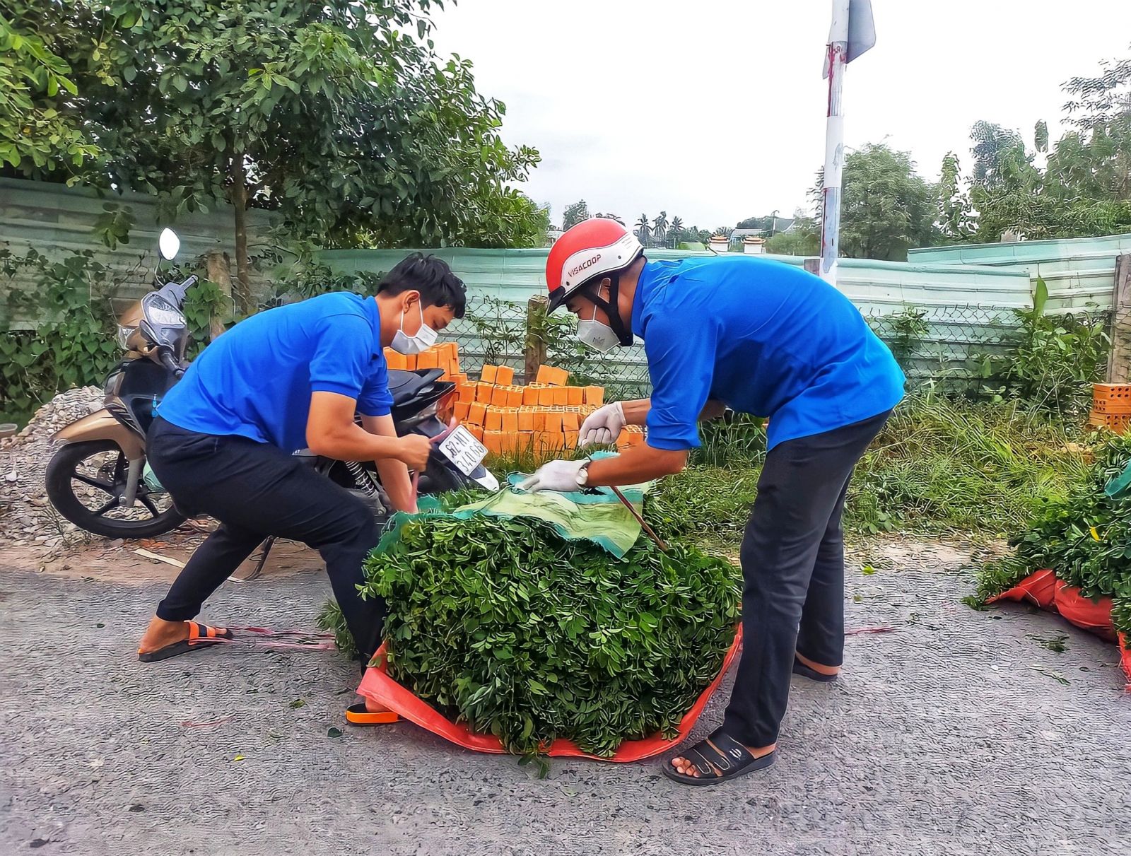 Yêu thương trong đại dịch Covid-19 (Bài 2)