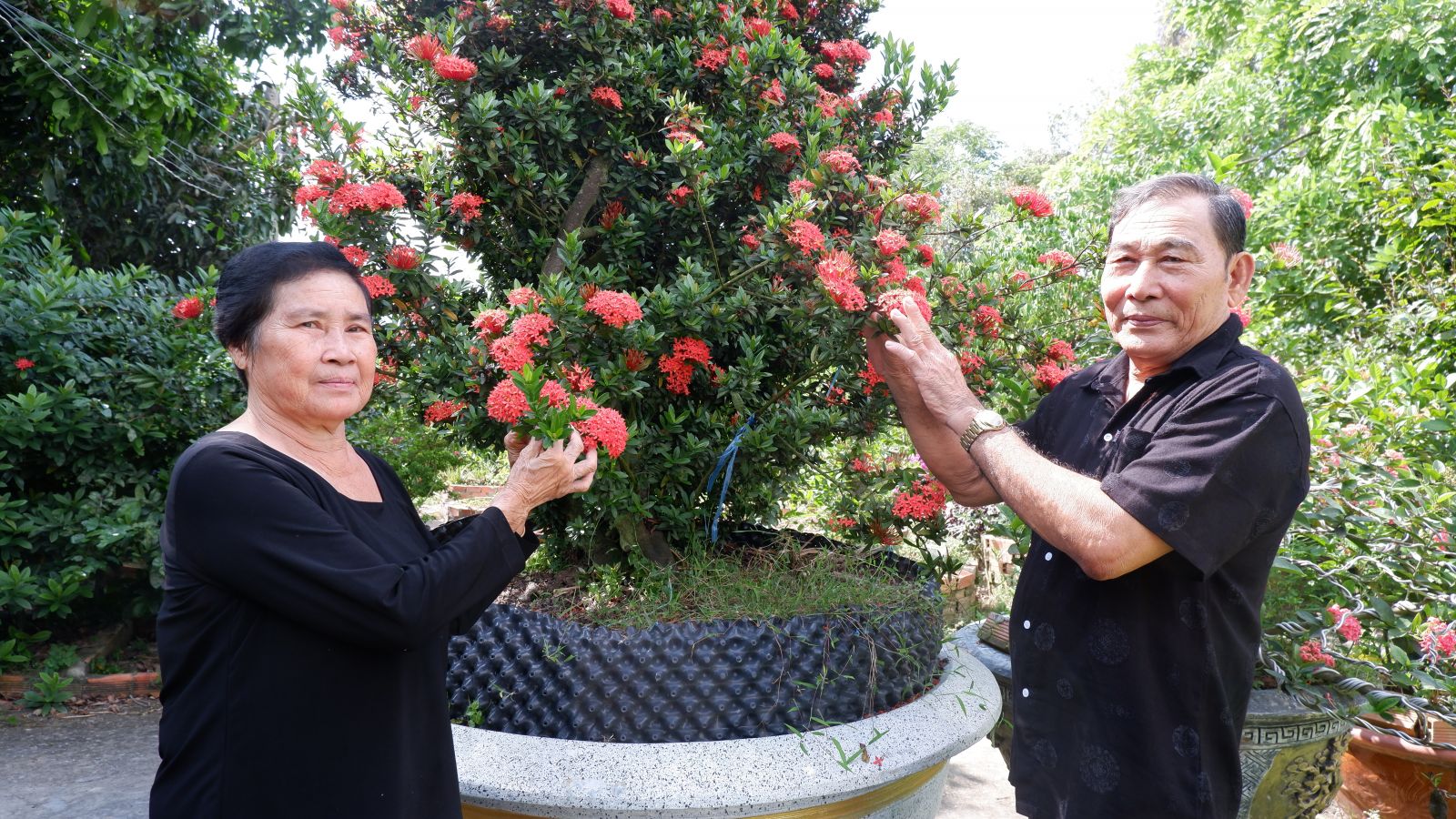 Chuyện về một gia đình thương binh