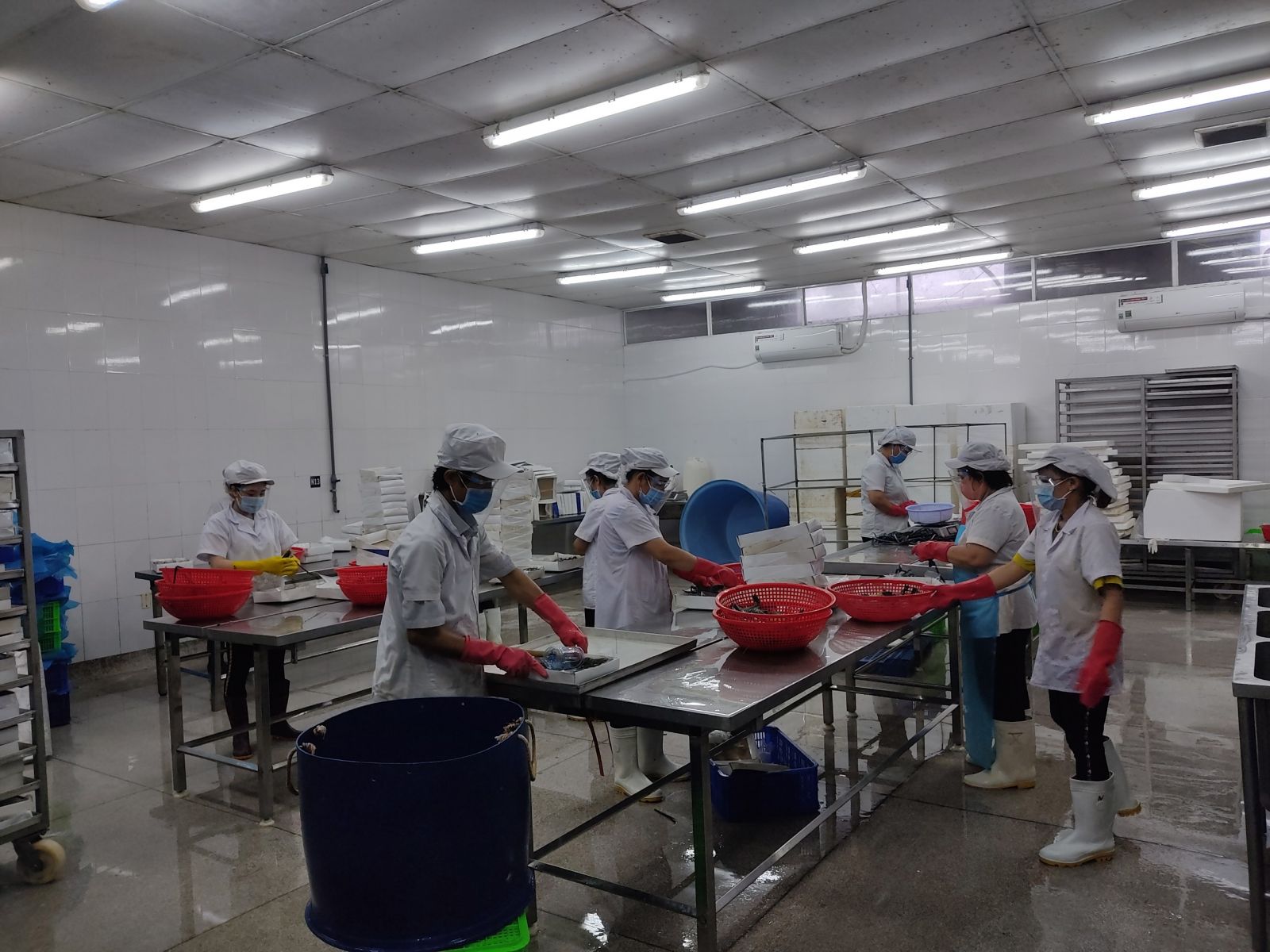 Workers produce in Industrial Park in Vinh Loc 2 Industrial Park, Ben Luc