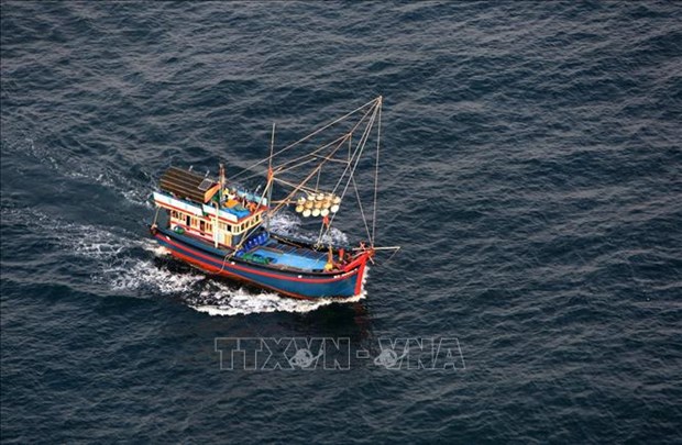 Deputy PM asks for seriously punishing brokers for illegal fishing overseas A fishing boat of Vietnam (Photo: VNA)