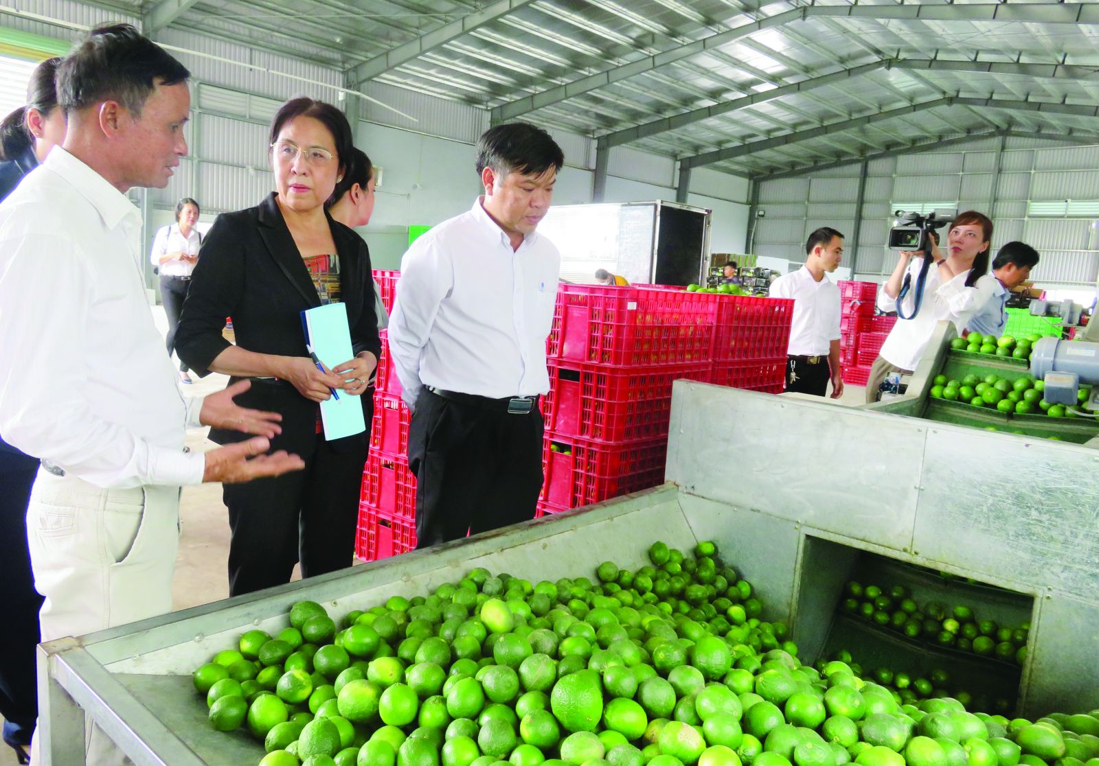 “Chắp cánh” cho nông sản Việt ra thị trường thế giới