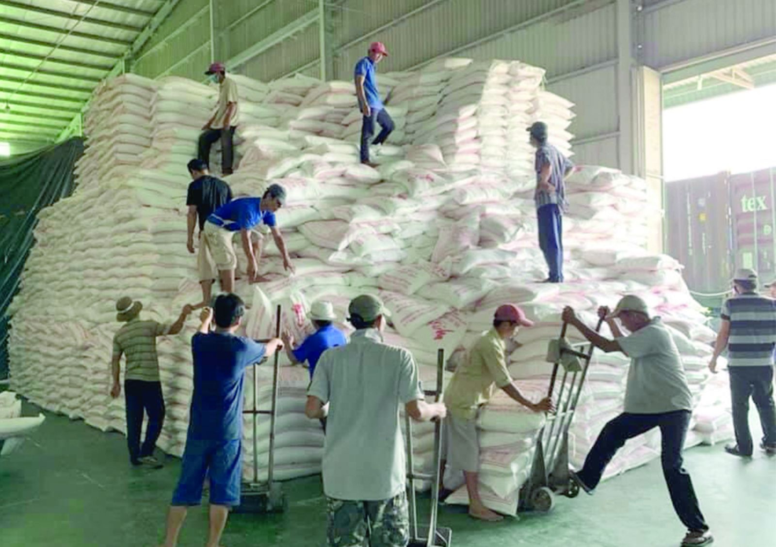 “Chắp cánh” cho nông sản Việt ra thị trường thế giới