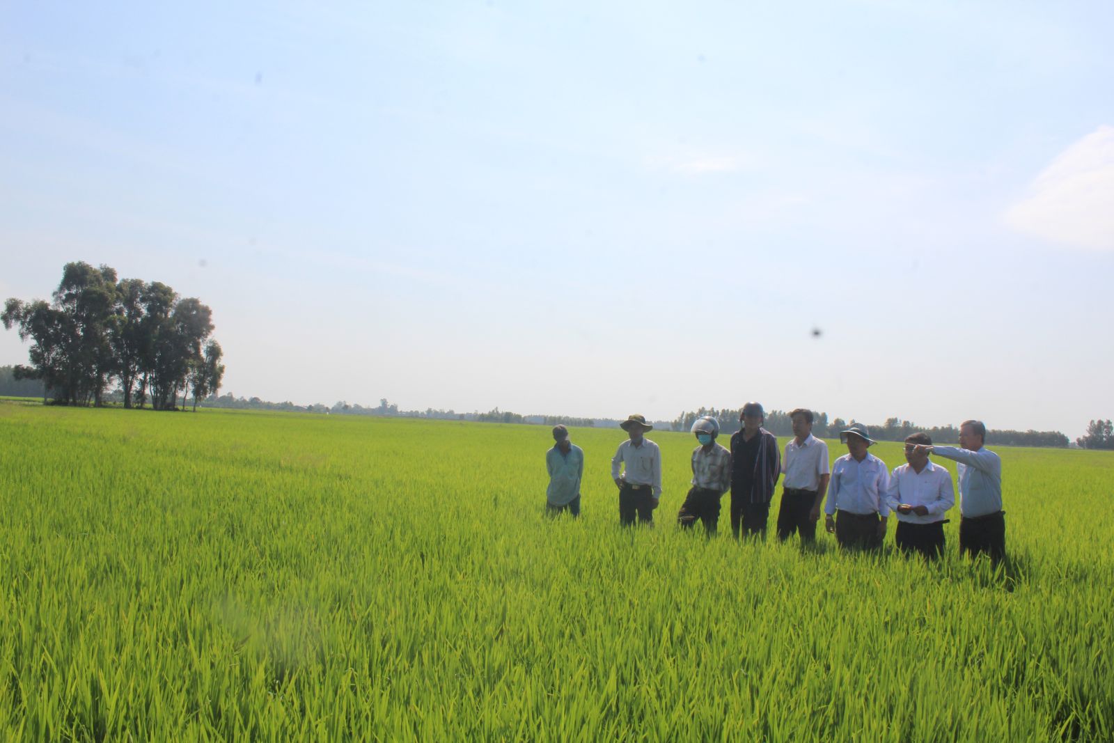 Câu chuyện xây dựng lòng tin trong hợp tác xã Xây dựng được lòng tin là “chìa khóa” cho hợp tác xã hoạt động hiệu quả (Ảnh tư liệu)
