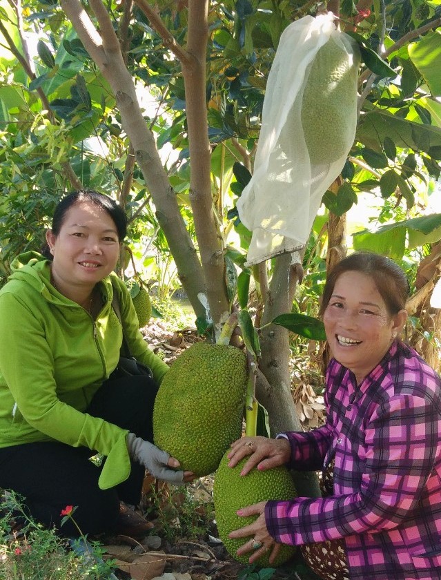 Điển hình tiên tiến - Nòng cốt của phong trào thi đua yêu nước