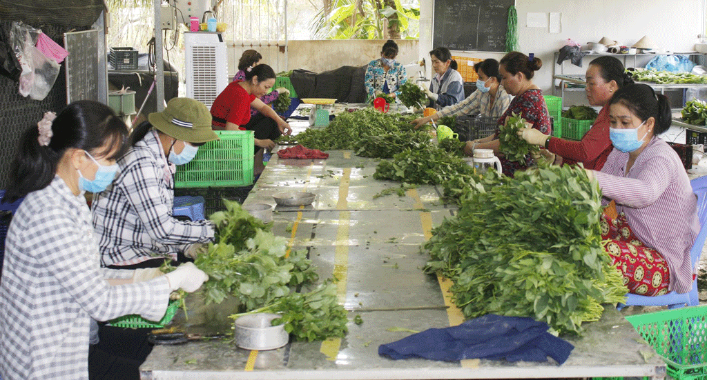 Giai đoạn 2002-2020, Sở Nông nghiệp và Phát triển nông thôn tham mưu UBND tỉnh ban hành nhiều chính sách hỗ trợ phát triển kinh tế tập thể, hợp tác xã