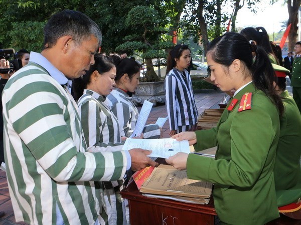 (Ảnh minh họa: Doãn Tấn/TTXVN)