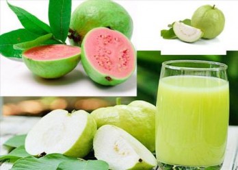 Những công dụng bất ngờ từ trái ổi