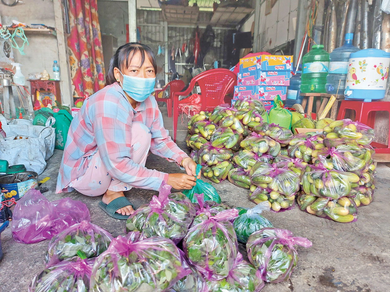Đoàn kết xây dựng quê hương giàu đẹp UBMTTQ Việt Nam huyện Bến Lức cùng các ngành, đoàn thể vận động được trên 12 tấn rau, củ, quả hỗ trợ các khu cách ly và khu phong tỏa trên địa bàn