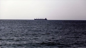 RoK launches search for missing Vietnamese sailor RoK launches search for missing Vietnamese sailor