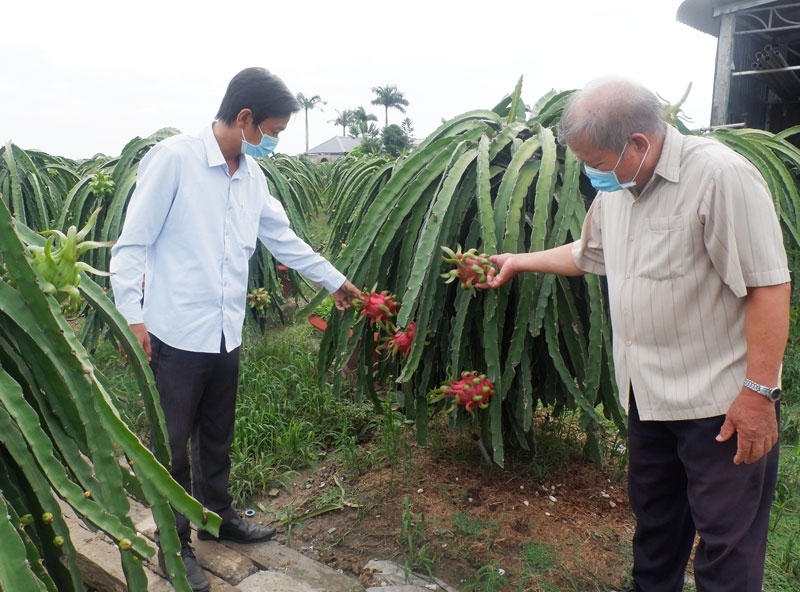 Đời sống đi lên nhờ nông thôn mới